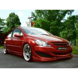 Kit Aerodin&acirc;mico Peugeot 307 SHUMAN em fibra
