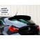 Aileron Traseiro Seat Ibiza 6J 3portas/SC em fibra