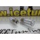 Led BA15S / Polo Centrado vermelho 5.5W, 600LUMENS 12-24V c/1 ano de garantia 