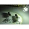 Led Can Bus BA15S / Polo Centrado Branco 3W, 370LUMENS 12v-24v c/1 ano de garantia