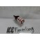 Led Can Bus T20 / 7443 21/5W 2 Polos Vermelho 4.5W, 400 LUMENS 12V LED SAMSUNG 