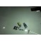 Led Can Bus T10 / w5w Branco 5W, 280 LUMENS Sem polaridade LED SAMSUNG