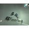 Led Can Bus T10 / w5w Branco 4W, 255 LUMENS Sem polaridade LED SAMSUNG, C/1 Ano De Garantia