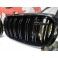 Grelha frontal BMW X5 E70 2006-2010 M4 look / dupla lamina