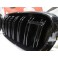 Grelha frontal BMW X5 E70 2006-2010 M4 look / dupla lamina