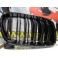 Grelha frontal BMW X3 F25 2010-2014 M4 look / dupla lamina
