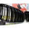 Grelha frontal BMW X3 F25 2010-2014 M4 look / dupla lamina