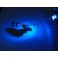 Led C5W / SV8,5 (11x31mm) Azul 0.6W, 20LUMENS c/1 ano de garantia