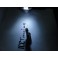 Led C5W / SV8,5 (11x36mm) Branco 0.8W, 30LUMENS C/1 Ano De Garantia