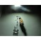 Led C5W / SV8,5 (11x39mm) Branco 2W, 195LUMENS Sem Polaridade C/1 Ano De Garantia