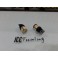 Led Can Bus T20 / 7443 21/5W 2 POLOS Branco 5W, 450 LUMENS 12V Ideal para Alfa romeo, fiat, opel
