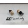 Led Can Bus T20 / 7443 21/5W 2 POLOS Branco 5W, 450 LUMENS 12V Ideal para Alfa romeo, fiat, opel