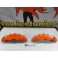 Capas de travao Brembo com tinta de alta temperatura Foliatec Azul racing Brilhante