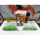 Capas universal + Tinta alta temperatura Foliatec Verde Green Power Brilhante