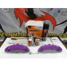 Capas universal + Tinta alta temperatura Foliatec Roxo Brilhante
