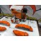 Capas Brembo + Tinta alta temperatura Foliatec Laranja Brilhante
