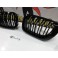 Grelha frontal BMW E46 01-05 M4 look / dupla lamina