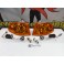 KIT Piscas frontais laranja EuroLook HONDA CIVIC 92-95 4 Portas Com função de mínimo+pisca USA LOOK