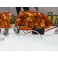 KIT Piscas frontais laranja EuroLook HONDA CIVIC 92-95 2, 3 Portas Com função de mínimo+pisca