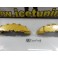 Capas de travao Brembo com tinta de alta temperatura Foliatec Dourado metálico Brilhante