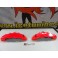 Capas de travao Brembo com tinta de alta temperatura Foliatec Vermelho Neon Brilhante