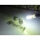 Led para luz diurna HP24W Peugeot 3008 / 5008 Citroen C5 240LUMENS