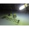 Led para luz diurna HP24W Peugeot 3008 / 5008 Citroen C5 240LUMENS