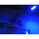 Led Can Bus T10 / w5w Verde 2W, 250 LUMENS 12V Sem polaridade LED SAMSUNG, C/1 Ano De Garantia