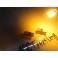 Led Can Bus T10 / w5w Vermelho 2W, 250 LUMENS 12V Sem polaridade LED SAMSUNG, C/1 Ano De Garantia