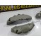 Kit 4 capas de travao Brembo com tinta de alta temperatura Foliatec Verde Tropa Mate