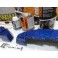 Capas Brembo + Tinta alta temperatura Foliatec Azul Porsche (Miami beach brilhante)