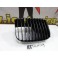 Grelha frontal sem símbolo  Seat Leon 1M / Seat Toledo 1M 1999-2004 ABS(plástico)