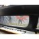 Para-choques Frontal VW Golf 4 / IV R32 ABS(plastico) C/Espaço para grelha original