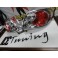 Farois / Farolins Peugeot 206 fundo vermelho cristal 