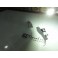 Led can bus T20 / 7443 21/5W 2 Polos Branco 3W, 360 LUMENS 12V-24V Ideal para Alfa romeo, citroen, fiat, opel (AFO)
