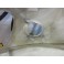 Para-Choques frontal em fibra Seat Leon  1P 2010-2012 Copa Edition