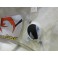 Para-Choques frontal em fibra Seat Leon  1P 2010-2012 Copa Edition