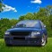Grelha, JOM, VW Passat 3BG 00-, badgeless, black