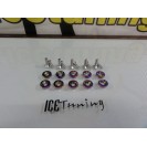 Kit de 10 parafusos + anilhas (M6 * 20MM) JDM LOOK em neochrome, indicados para guarda-lamas, para-choques, faróis ETC...