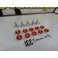 Kit de 10 parafusos + anilhas (M6 * 20MM) JDM LOOK em vermelho, indicados para guarda-lamas, para-choques, faróis ETC...