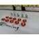 Kit de 10 parafusos + anilhas (M6 * 20MM) JDM LOOK em vermelho, indicados para guarda-lamas, para-choques, faróis ETC...