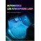 Kit de 4 fitas 32cm em led luz ambiente com led alta qualidade RGB (luz cortesia / foot led) para tablier e bancos multicolor