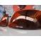 Piscas frontais + lâmpadas de pisca "diaden vision" para HONDA CIVIC 92-95 2/3 Portas fundo laranja / smoke (escurecido)