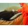 Tinta Plástica, preto mate (várias capacidades)