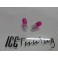 Lampadas Minimos / Matricula / interior T10 W5W 5w, Rosa CAN BUS