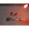 Lampadas Minimos / Matricula / interior T10 W5W 5w, Rosa CAN BUS