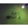 Lampadas interior / tablie T5 1,2w, verde CAN BUS