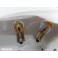 Lampadas de pisca 12v 21w DIADEM / Azure Vision Polo descentrado