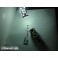 Led Can Bus BA15S / Polo Centrado Branco 5.5W, 550LUMENS 12-30v C/1 Ano De Garantia