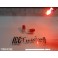 Lampadas Minimos / Matricula / Interior T10 / W5w Vermelho CAN BUS